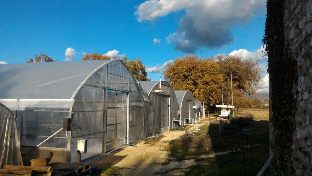 ספלו Agriturismo " Le Serre" מראה חיצוני תמונה