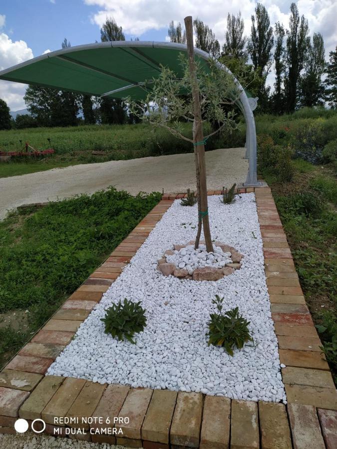 ספלו Agriturismo " Le Serre" מראה חיצוני תמונה
