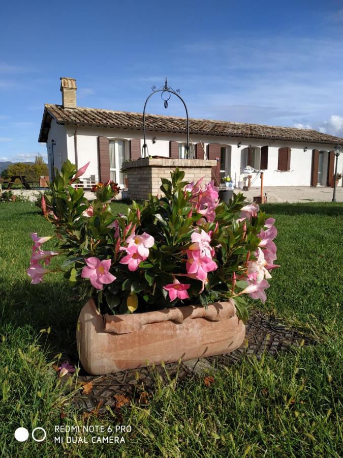 ספלו Agriturismo " Le Serre" מראה חיצוני תמונה