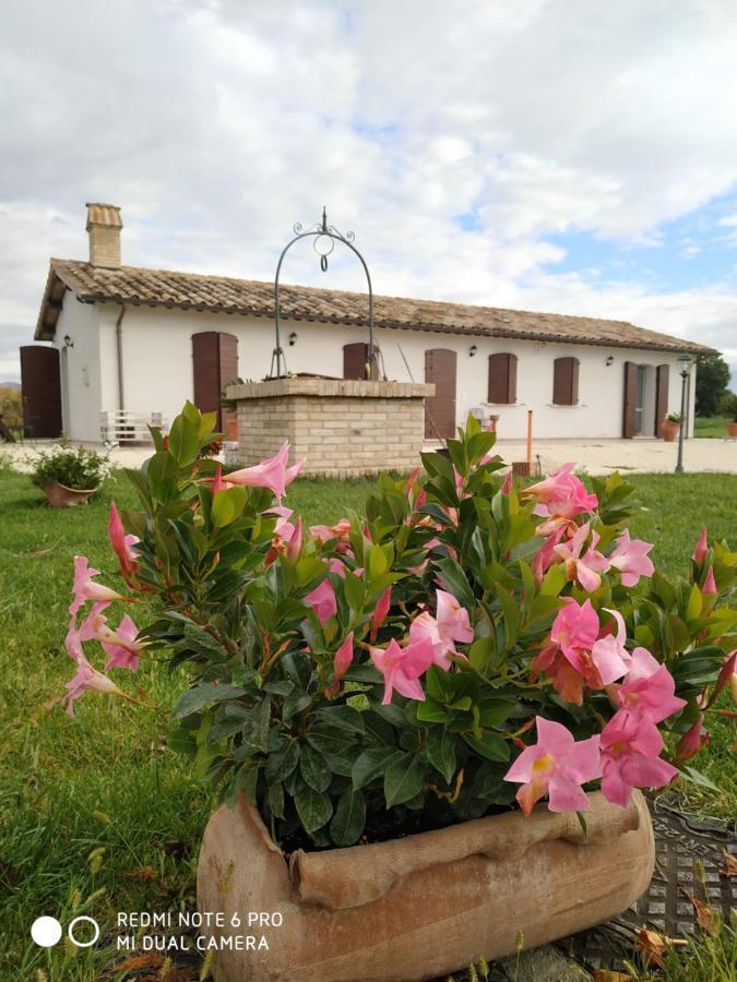 ספלו Agriturismo " Le Serre" מראה חיצוני תמונה